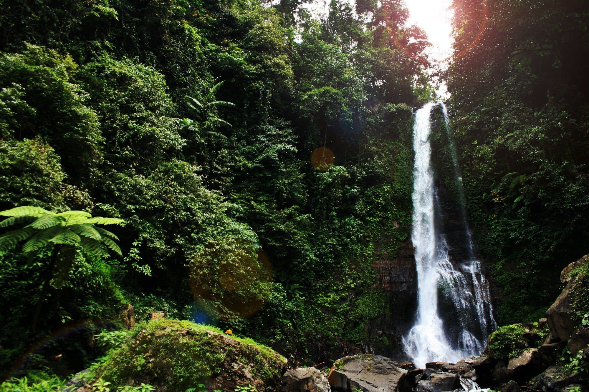 Sacred Bali: A Spiritual Journey gallery 2