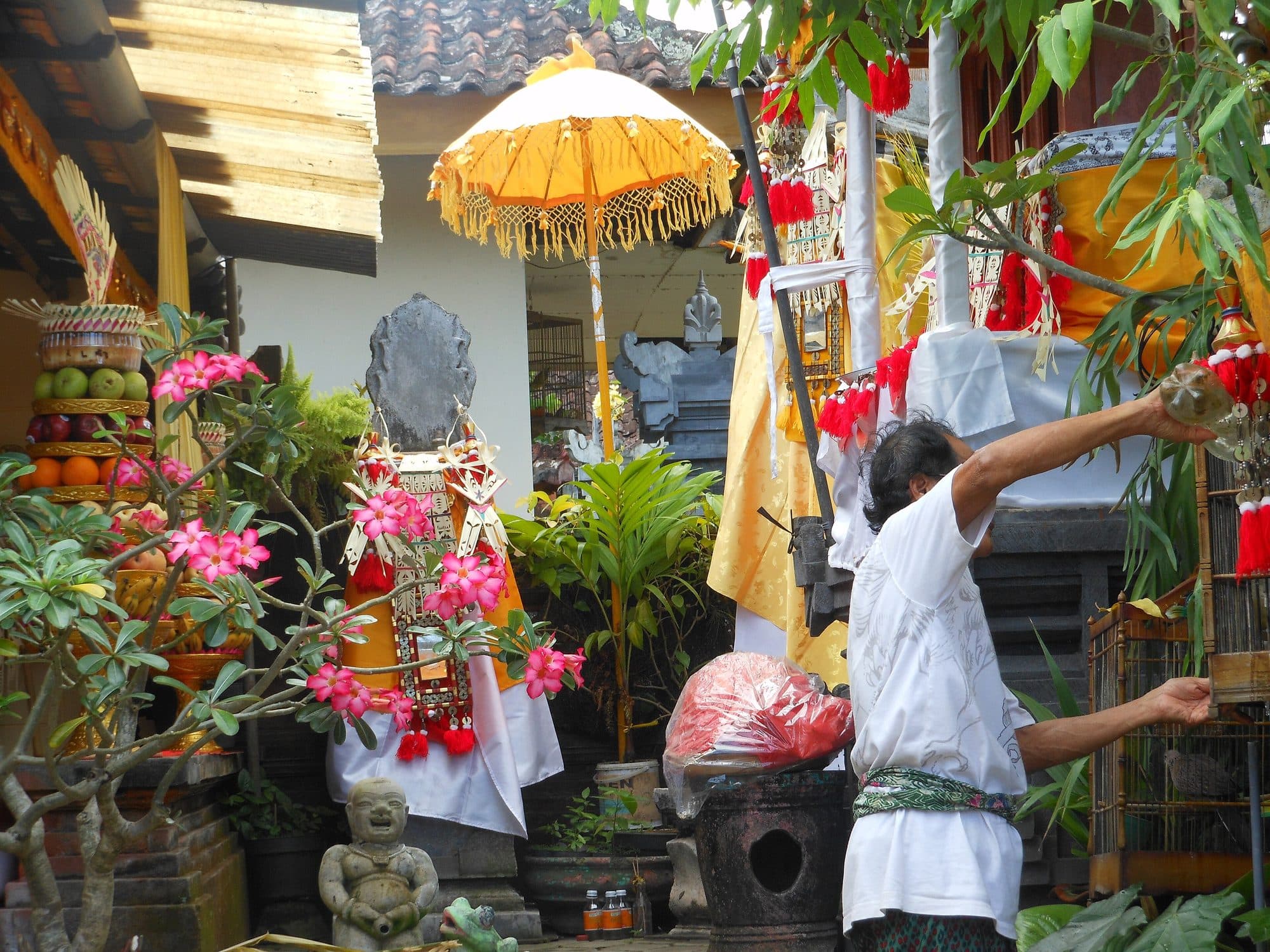 Sacred Bali: A Spiritual Journey gallery 3